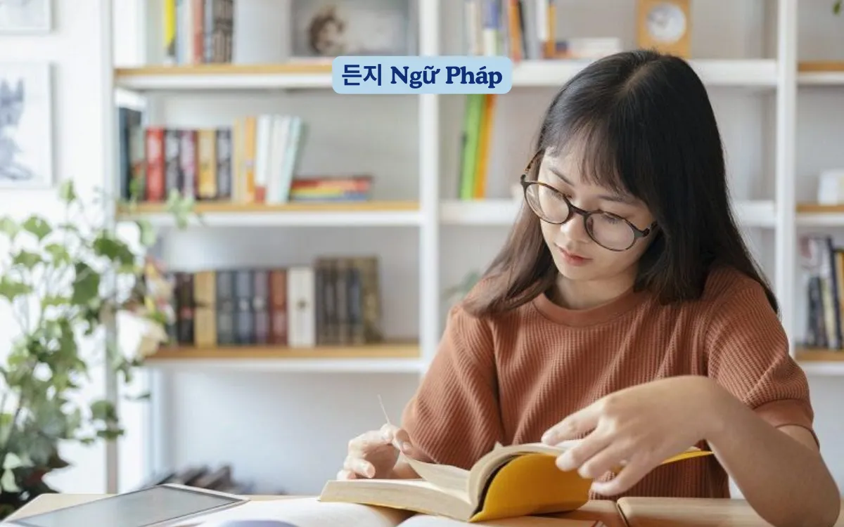 든지 Ngữ Pháp Có Khó Không? Ví dụ Thực Tế